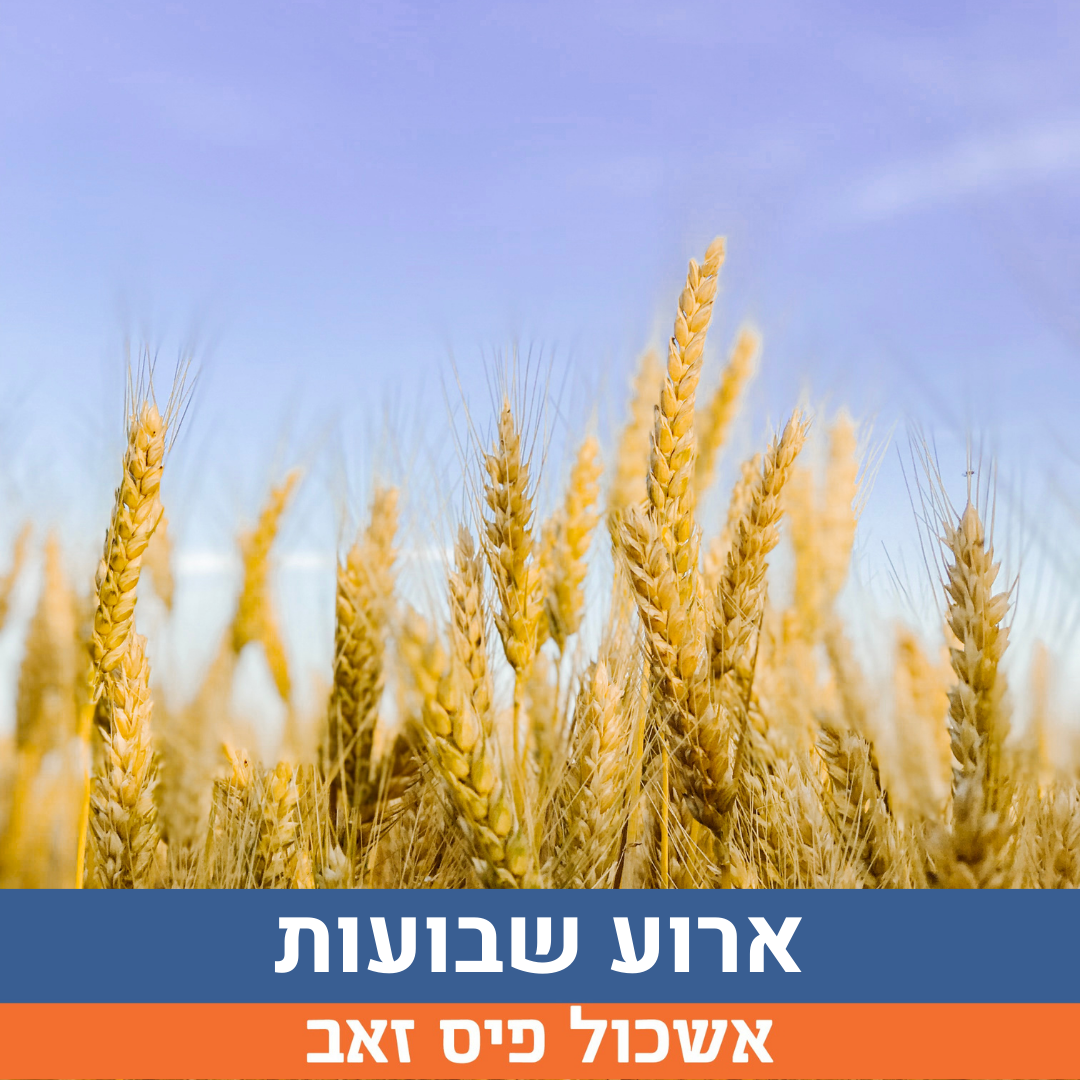 ארוע שבועות (1).png
