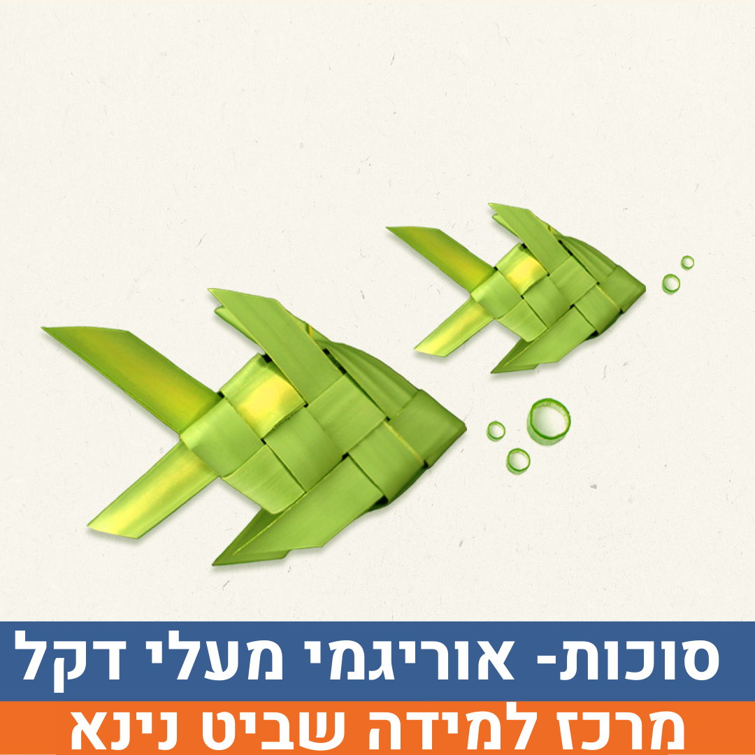 איוונט אוריגמי מעלי דקל.png