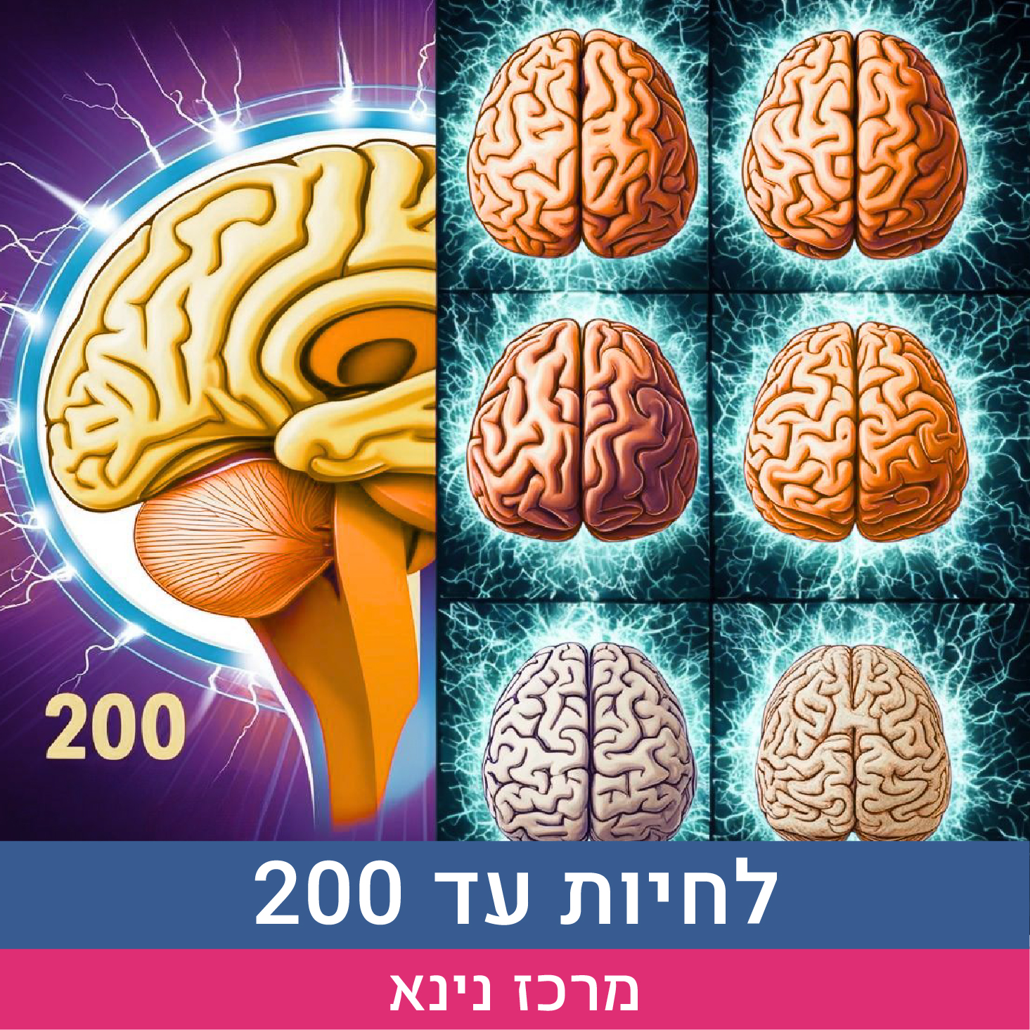 נינא - לחיות עד 200_מודעה קצרה.jpg