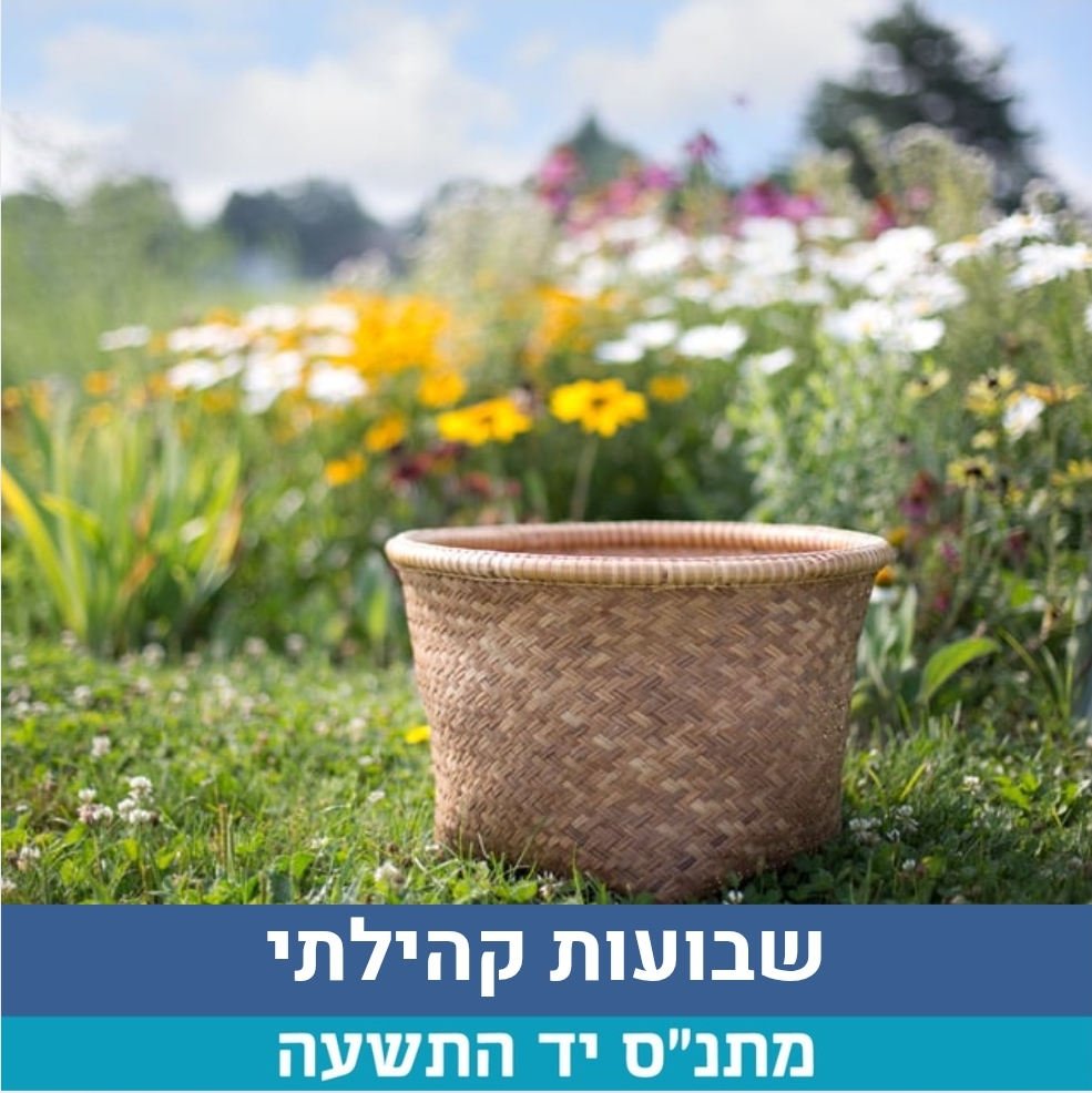 שבועות.jpg