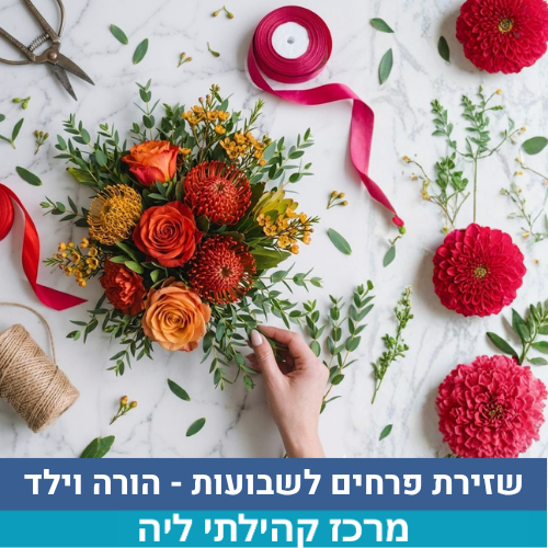 שיר - בבקשה לא לגעת.png