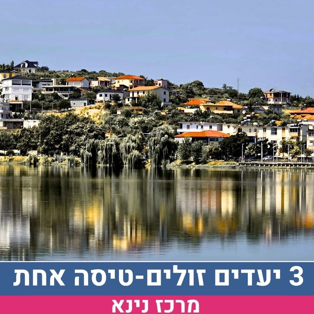 שלי 3 יעדים זולים בטיסה.jpg