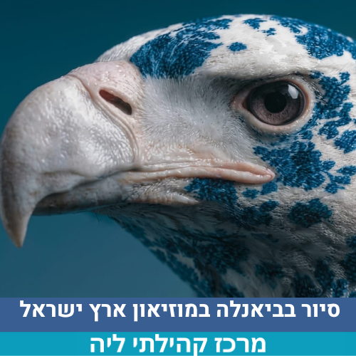 שיר - בבקשה לא לגעת (2).png