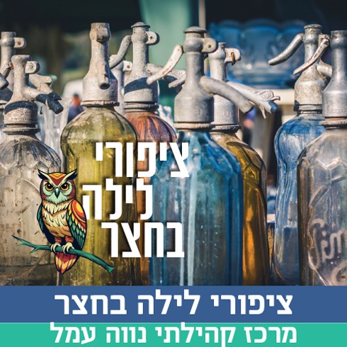 ציפורי לילה חדש.jpg