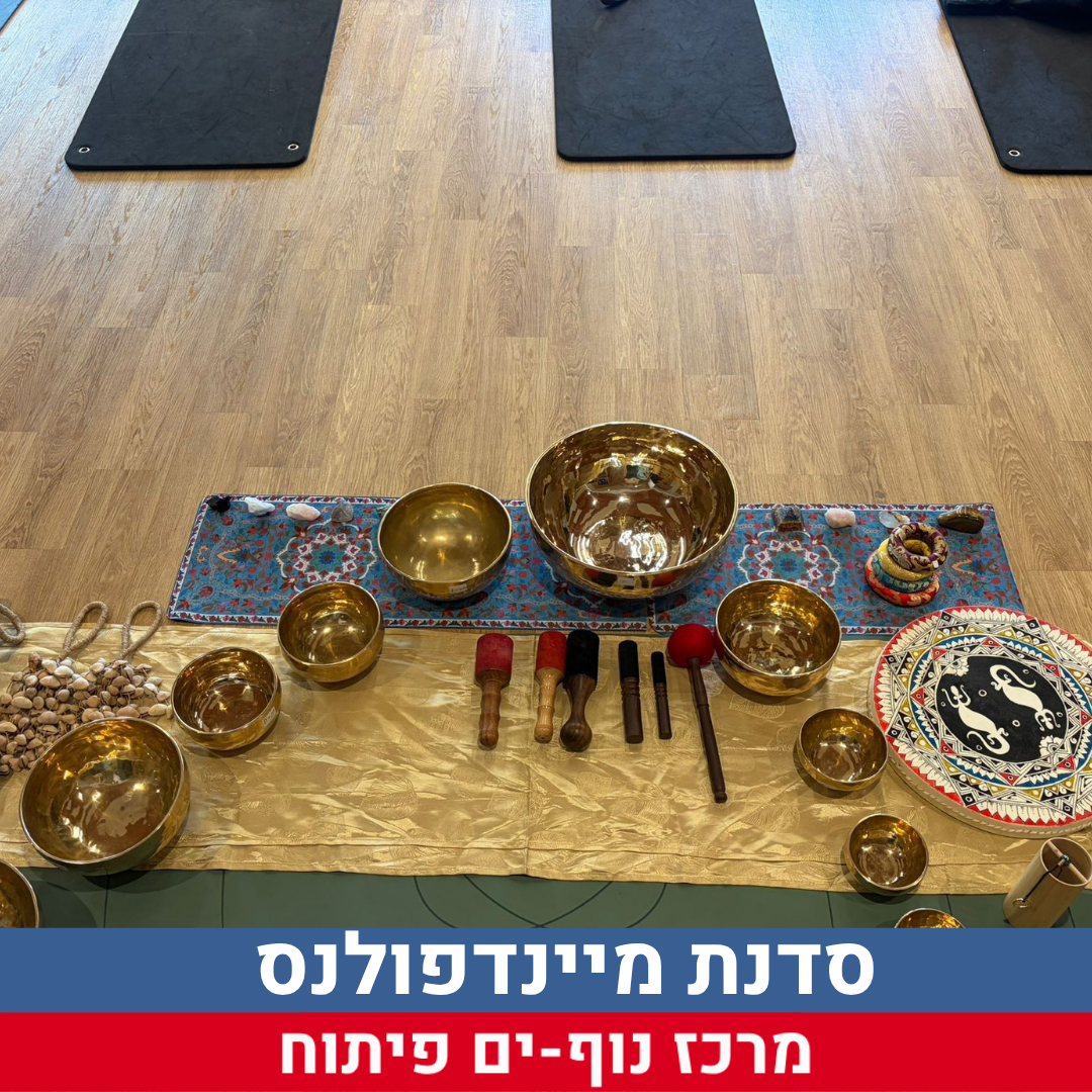 שתילות בבית ספר נוף ים (29).png