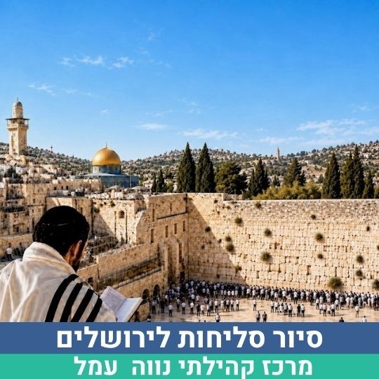 טקסט הפסקה שלך (26).jpg