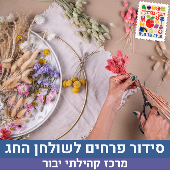 טקסט הפסקה שלך (13).png